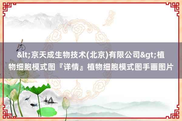 <京天成生物技术(北京)有限公司>植物细胞模式图『详情』植物细胞模式图手画图片